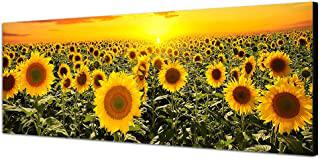 Recensioni di girasoli quadro