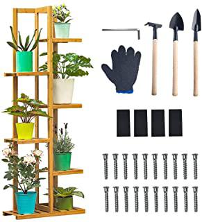 Recensioni di scaffale per orchidee