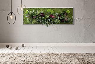 Recensioni di quadro giardino verticale