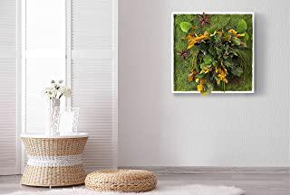 Recensioni di quadro muschio stabilizzato