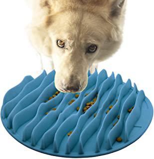 Recensioni di ciotola per cani voraci