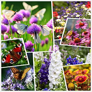 Recensioni di fiori da giardino estivi