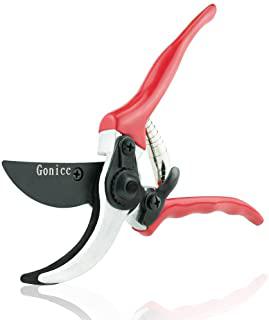 Recensioni di forbici da giardino