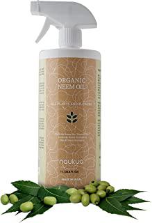 Recensioni di veleno per pesticidi e insetticidi
