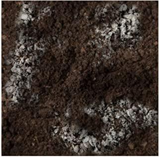 Recensioni di terriccio fertile