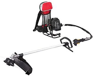 Recensioni di decespugliatore spalleggiato stihl