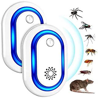 Recensioni di insetticida per scorpioni