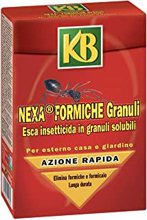 Recensioni di insetticida formiche orto