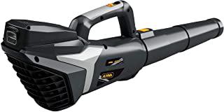 Recensioni di motosega da potatura alpina