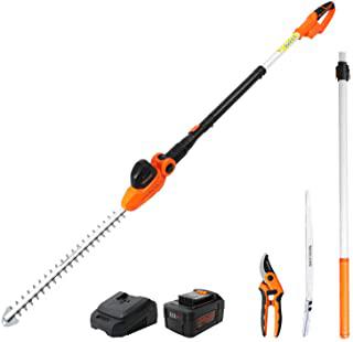 Recensioni di worx tagliasiepi