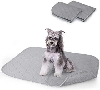 Recensioni di tappetini cane